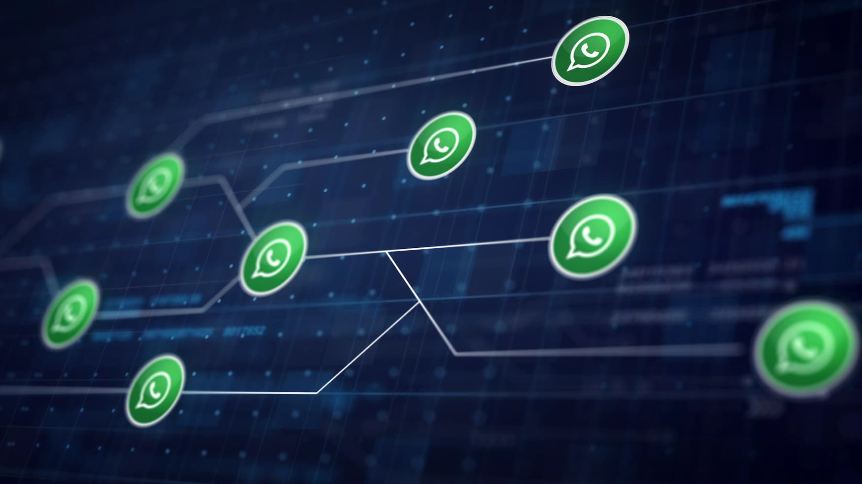 WhatsApp Flows: Cómo usarlo para la generación de leads y la satisfacción del cliente